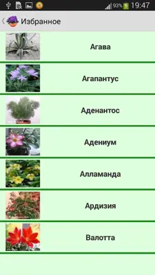 Комнатные растения android App screenshot 1