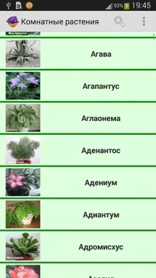 Комнатные растения android App screenshot 4